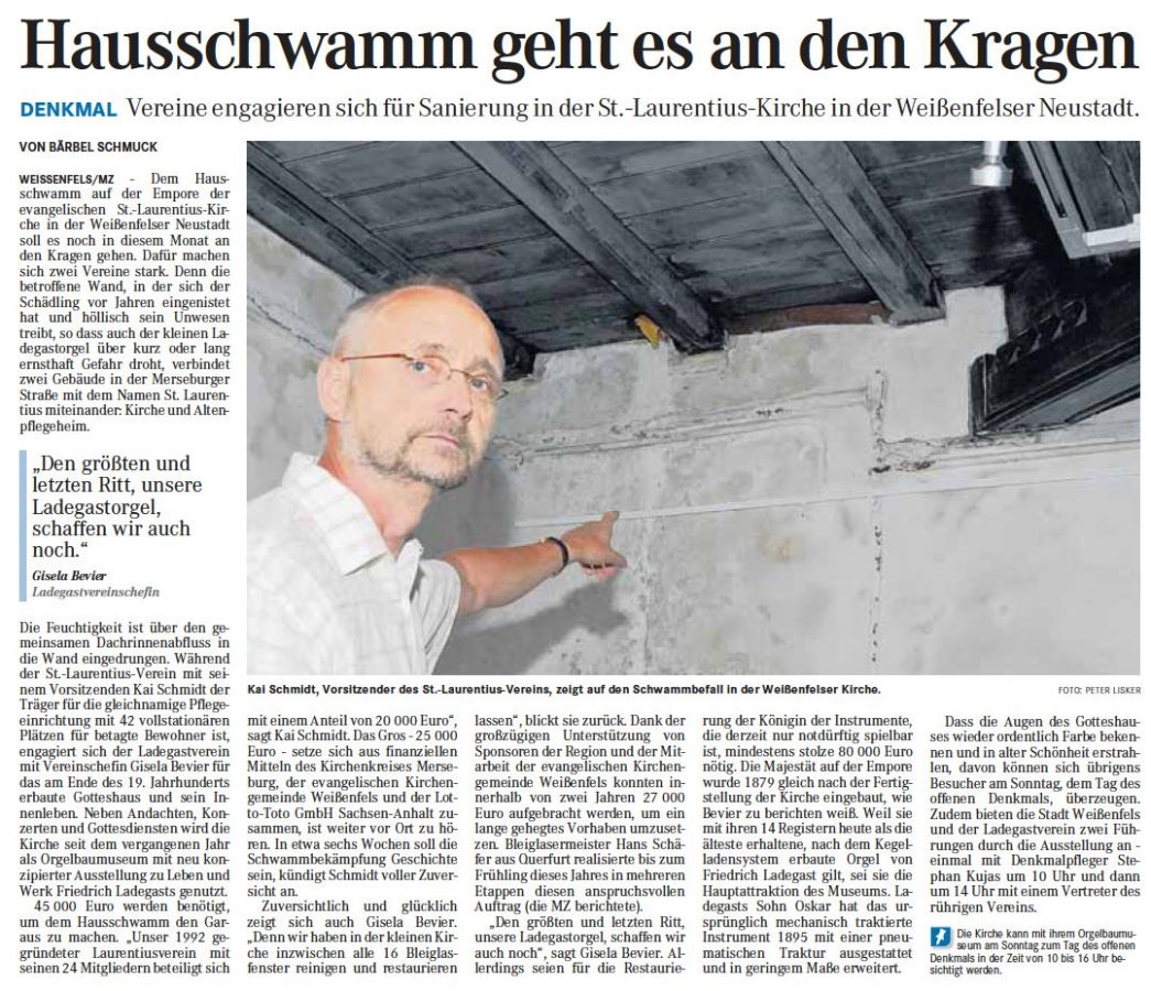 Hausschwamm geht es an den Kragen